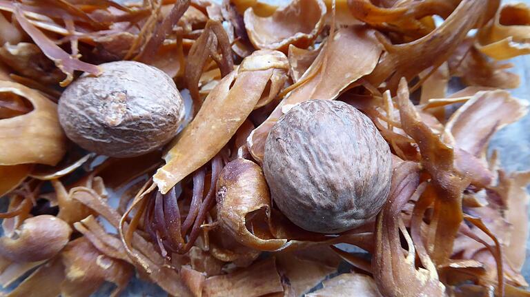 Die Muskatnuss: Eine Balgfrucht, von der wir Same und Macis, also die Hülle, nutzen. Die Muskatnuss: Eine Balgfrucht, von der wir Same und Macis, also die Hülle, nutzen.
