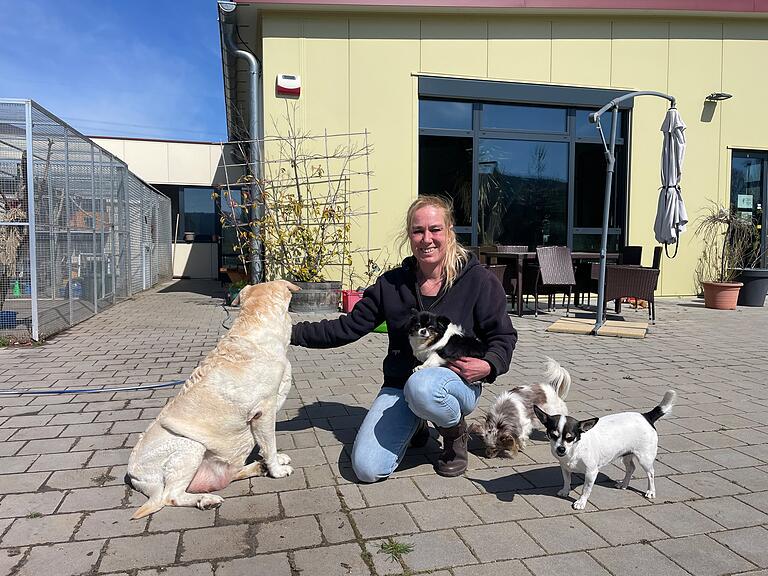 Endlich ein vernünftiges Zuhause für Fundtiere: Britta Merkel, die Vorsitzende der Tierschutz-Initiative Haßberge, im Tierheim in Zell am Ebersberg. (Archivbild) Endlich ein vernünftiges Zuhause für Fundtiere: Britta Merkel, die Vorsitzende der Tierschutz-Initiative Haßberge, im Tierheim in Zell am Ebersberg. (Archivbild)