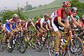 Ein Profi-Radrennen in Kitzingen? Damit wird es in diesem Sommer nichts. Die erste Etappe der Deutschland Tour führt von Schweinfurt direkt nach Baden-Württemberg.