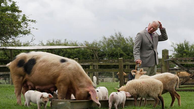 König Charles       -  König Charles interessiert sich für Landwirtschaft. (Archivbild)