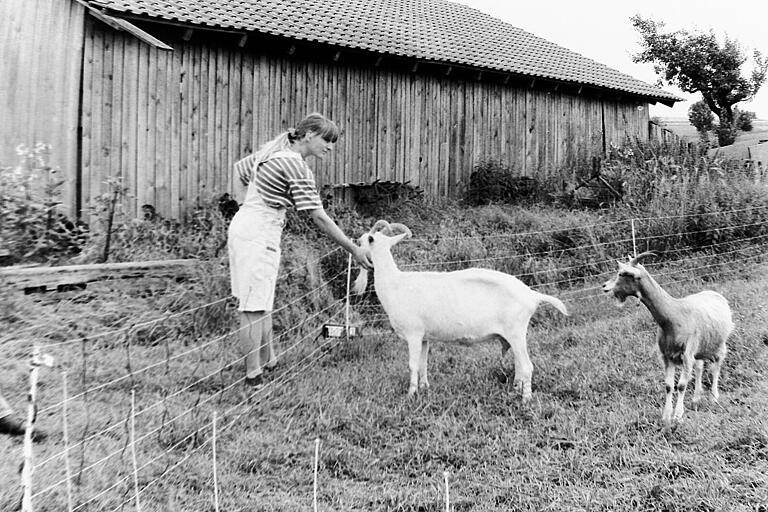 Ein Bild aus den Anfangstagen der Ziegenzucht der Schönebergs. Unser Bild zeigt eine Besucherin mit Diabolo und Josef. Ein Bild aus den Anfangstagen der Ziegenzucht der Schönebergs. Unser Bild zeigt eine Besucherin mit Diabolo und Josef.