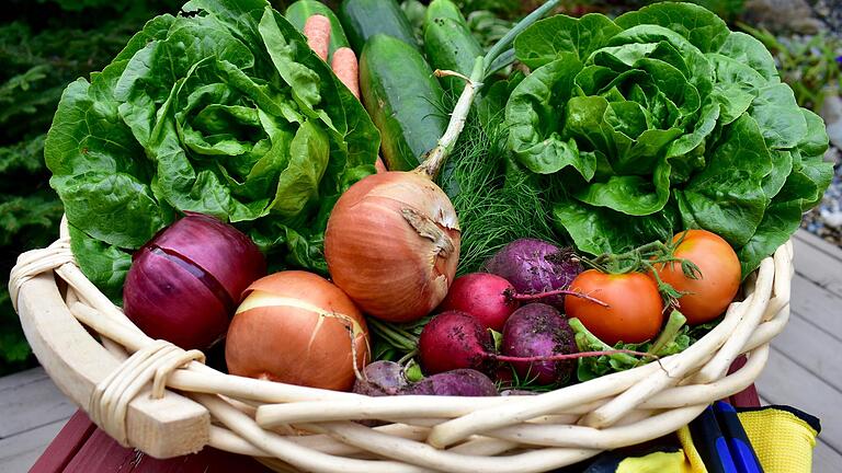 Frisch aus dem Garten: Beet und Bäume geben im September noch etwas her. Frisch aus dem Garten: Beet und Bäume geben im September noch etwas her. 