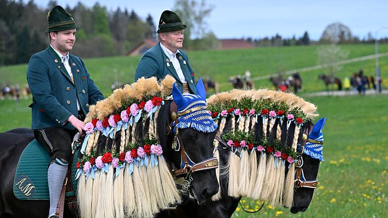 Ostermontag - Georgiritt in Traunstein       -  Die Pferde sind beim Georgiritt festlich geschmückt.