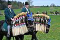 Ostermontag - Georgiritt in Traunstein       -  Die Pferde sind beim Georgiritt festlich geschmückt.