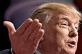 Trump calls for Muslims to be temporarily denied entry to US       -  Donald Trump kennt nur die lauten Töne. Und er findet Gehör.