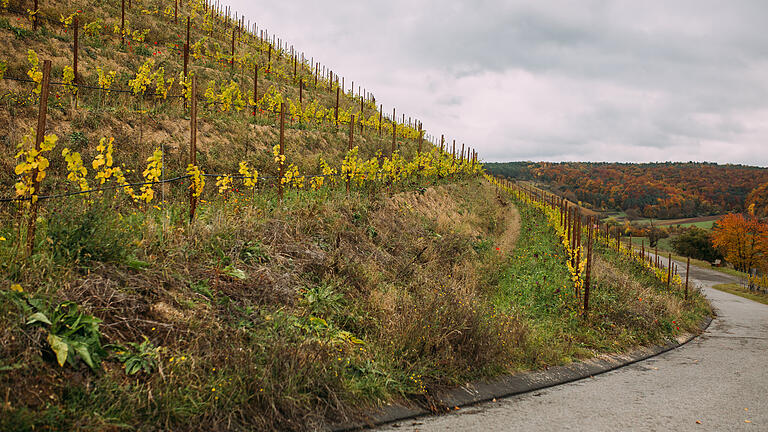 Gut zu erkennen die Fahrgassen und die Böschung mit den Weinstöcken. - Gut zu erkennen die Fahrgassen und die Böschung mit den Weinstöcken. Gut zu erkennen die Fahrgassen und die Böschung mit den Weinstöcken. - Gut zu erkennen die Fahrgassen und die Böschung mit den Weinstöcken.