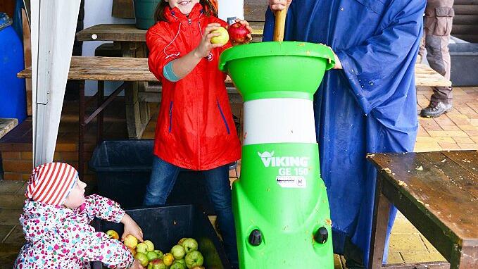 Die gewaschenen Äpfel dürfen die Kinder in die Häckselmaschine werfen, doch das Hineinstampfen übernimmt Uwe Schwanke lieber selbst. Im Auffangbottich hat sich schon wieder eine große Menge Maische angesammelt. Die gewaschenen Äpfel dürfen die Kinder in die Häckselmaschine werfen, doch das Hineinstampfen übernimmt Uwe Schwanke lieber selbst. Im Auffangbottich hat sich schon wieder eine große Menge Maische angesammelt.