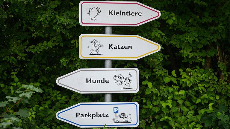 Wo geht es lang für das Kitzinger Tierheim? Die Frage schien geklärt, die Zielgerade war bereits in Sicht – jetzt hakt es wieder. Wo geht es lang für das Kitzinger Tierheim? Die Frage schien geklärt, die Zielgerade war bereits in Sicht – jetzt hakt es wieder.