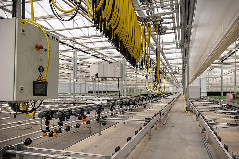 Auch Pflanzenstärkungsmittel müssen die Mitarbeiterinnen und Mitarbeiter nicht mehr händisch auftragen – das übernimmt eine Maschine, die über die Bahnen fahren kann.