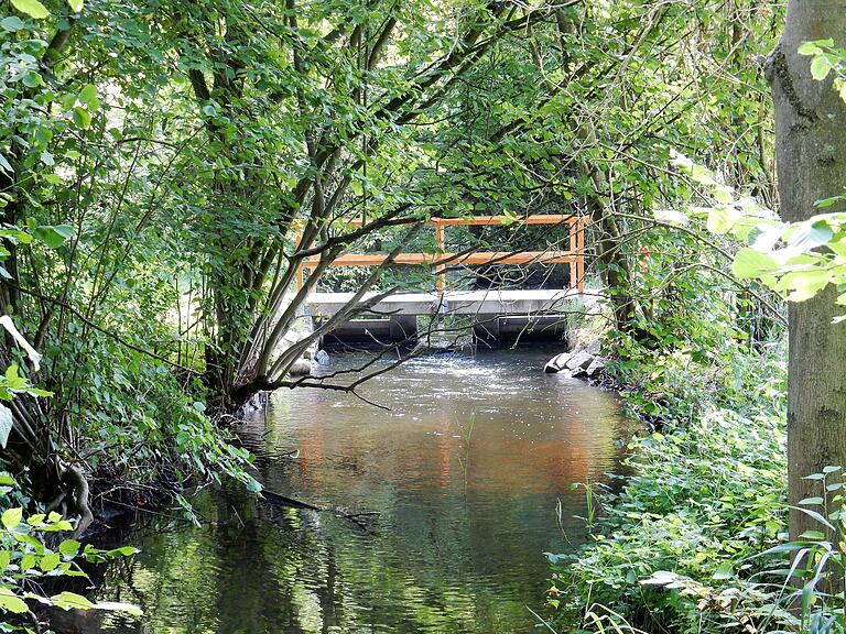 Stauwehr am Unkenbach vor dem Riedholz.