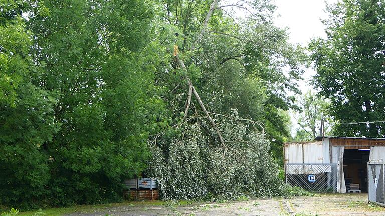Große Schäden hat ein Unwetter mit Sturmböen und Hagel in Hofheim und Lendershausen am Freitagfrüh angerichtet.