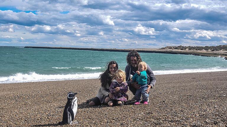 Fasziniert von den Pinguinen auf der Halbinsel Valdés in Argentinien. Foto: Schmitt Fasziniert von den Pinguinen auf der Halbinsel Valdés in Argentinien. Foto: Schmitt