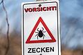Freizeitsportler, Wanderer und Pilzsammler aufgepasst: Der Landkreis Schweinfurt und der Landkreis Haßberge sind Zecken-Risikogebiet.  Foto: Patrick Seeger       -  Freizeitsportler, Wanderer und Pilzsammler aufgepasst: Der Landkreis Schweinfurt und der Landkreis Haßberge sind Zecken-Risikogebiet.  Foto: Patrick Seeger