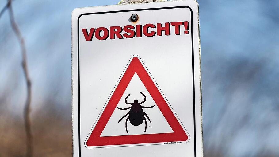 Freizeitsportler, Wanderer und Pilzsammler aufgepasst: Der Landkreis Schweinfurt und der Landkreis Haßberge sind Zecken-Risikogebiet.  Foto: Patrick Seeger       -  Freizeitsportler, Wanderer und Pilzsammler aufgepasst: Der Landkreis Schweinfurt und der Landkreis Haßberge sind Zecken-Risikogebiet.  Foto: Patrick Seeger