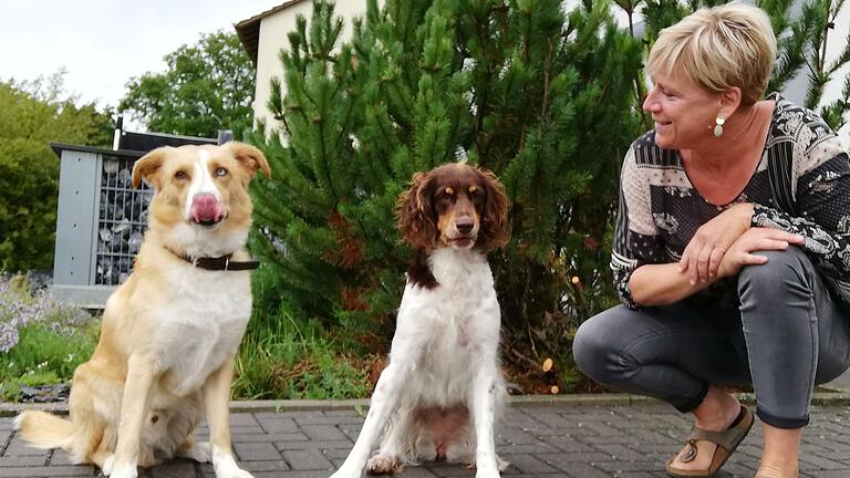 Willi und Amy wissen, dass sie die Wurst nicht fressen dürfen, ehe sie von ihrem Frauchen Petra Will die Erlaubnis bekommen. Dass sie den Befehlen folgen, ist das Ergebnis konsequenten Trainings.Foto: Heike Beudert       -  Willi und Amy wissen, dass sie die Wurst nicht fressen dürfen, ehe sie von ihrem Frauchen Petra Will die Erlaubnis bekommen. Dass sie den Befehlen folgen, ist das Ergebnis konsequenten Trainings.Foto: Heike Beudert