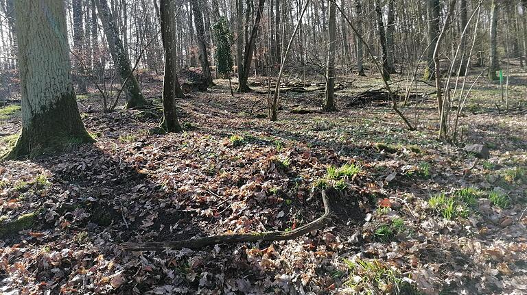 Die Rinne wird einer Fundstelle im Wald zugeordnet, die möglicherweise in umittelbarer Nähe des ehemaligen Mutterhausen-Hofes verlaufen soll.
