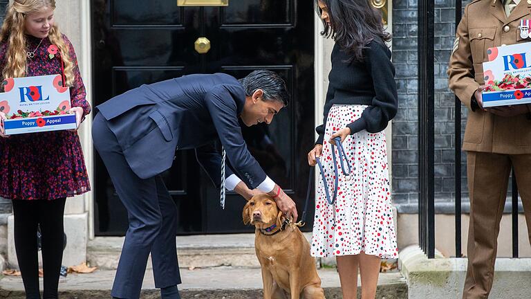 Vor dem Remembrance Day in Großbritannien       -  Rishi Sunaks Hund heißt Nova. (Archivbild)