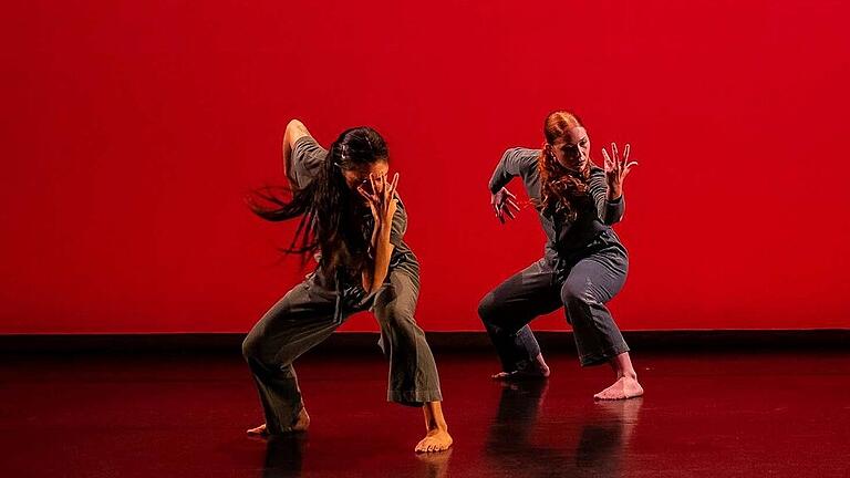 Die US-amerikanische Compagnie Dance Works Chicago hat sich zu einer wichtigen Größe in der internationalen Tanzszene entwickelt.