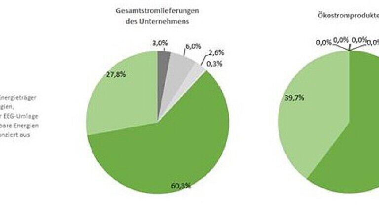 Die Grafik zeigt, woher die LKW ihren Strom beziehen.