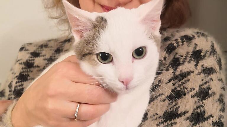 Katrin Rinke mit ihrer 'Schmusekatze' aus dem Tierheim Wannigsmühle Katrin Rinke mit ihrer 'Schmusekatze' aus dem Tierheim Wannigsmühle