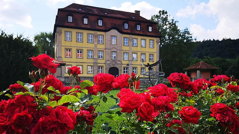Vernissage in Gleisenau: 'Follow the butterflies'