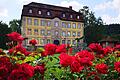 Vernissage in Gleisenau: 'Follow the butterflies'