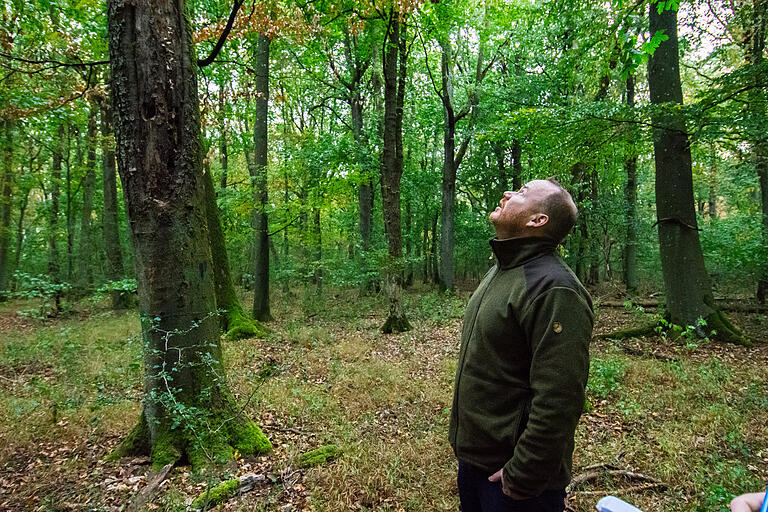 Sorgenvoller Blick nach oben von Amtsleiter Florian Haensel.