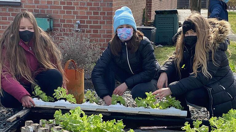Sofie Zehe, Milina Henze, Milena Moser (Schülerinnen der Klasse 5a).