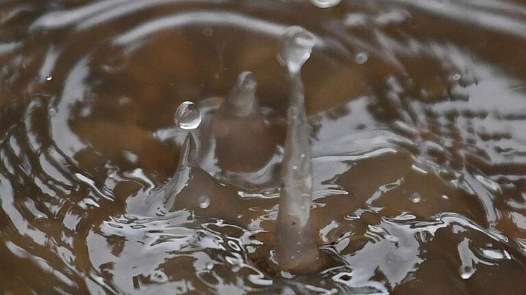 Regen in Freiburg       -  Der Geruch von Sommerregen heißt Petrichor. (Archivbild)