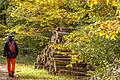 Herrliche Farben hat Mainfrankens Natur im Herbst zu bieten. Ideal für Wanderungen – auch an diesem Wochenende.