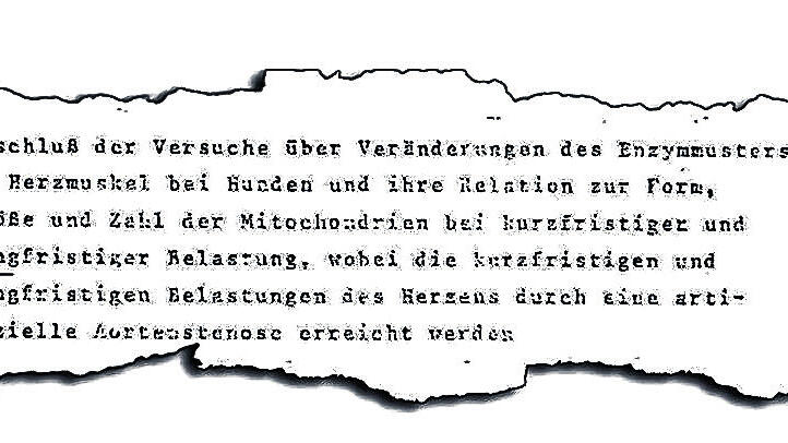 Belege: Ausschnitte aus den Anträgen der Uni Freiburg ans Bundesinstitut für Sportwissenschaften.