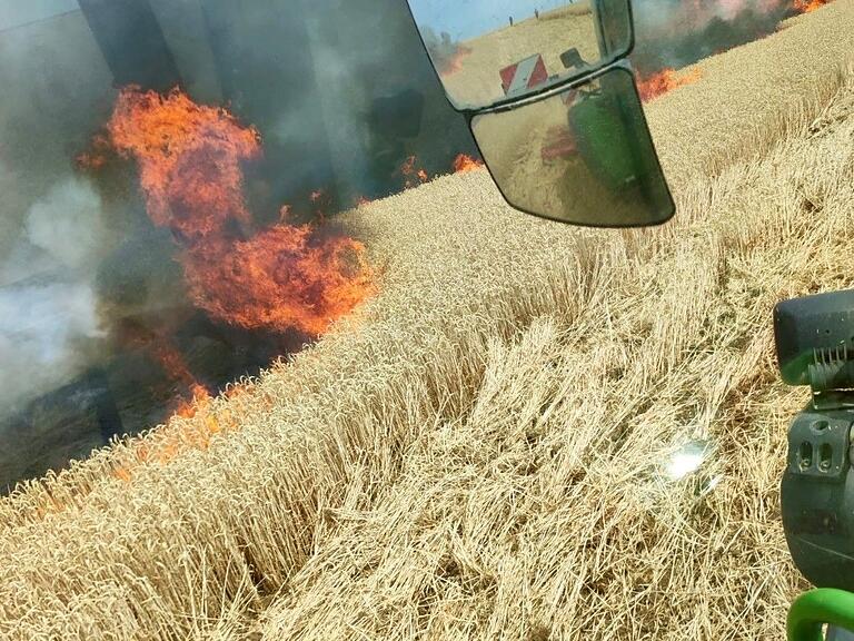 Eines der betroffenen Getreidefelder war noch nicht abgeerntet. In Schallfeld (Foto) stand eine Fläche von rund zwei Hektar in Flammen, in Stammheim waren es ungefähr eineinhalb Hektar.