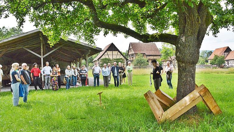 Joel Hartmann hat Holzbalken künstlerisch um einen Baum angeordnet. Vergleichbar mit einer zweiten Baumkrone oder einer Umarmung.