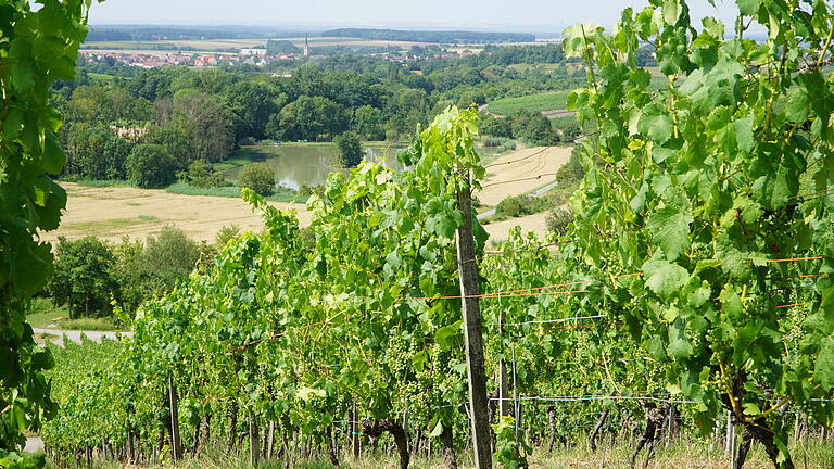 Das Wassermanagementsystem für die Marktgemeinde Oberschwarzach soll nicht nur der Bewässerung der Weinberge dienen