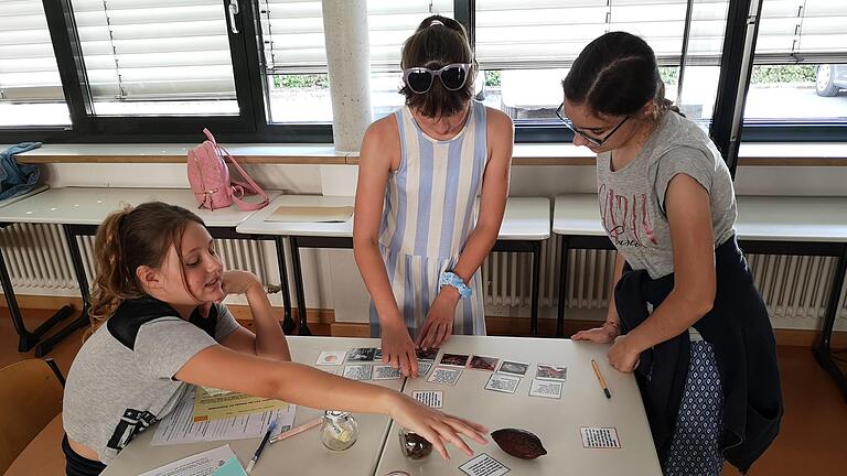 Beim Workshop 'Schokolade' im Rahmens des Fairtrade-Projekttags konnten die Sechstklässer/innen des Celtis-Gymnasiums unter anderem eine echte Kakaobohne unter die Lupe nehmen.