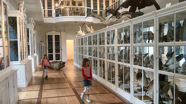 Sehenswert: der Vogelsaal im Naturkundemuseum in Bamberg.&nbsp;