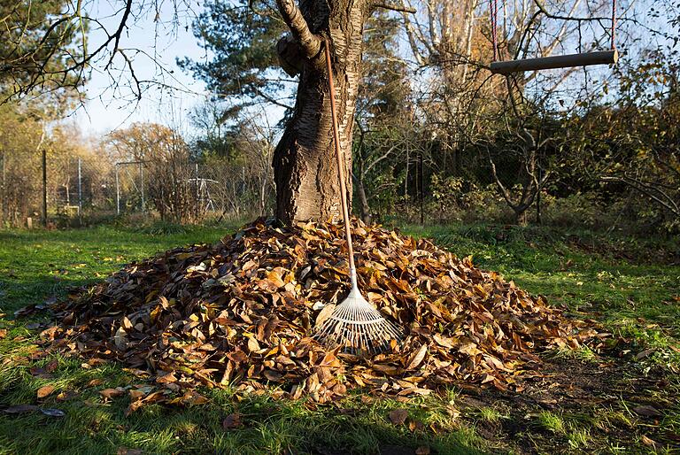 Bei Laub im Garten müssen Hobbygärtnerinnen und -gärtner nicht gleich zum Laubbläser greifen. Besser ist es, einen Laubhaufen anzulegen.