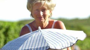 Tipps gegen die Hitze       -  ... kleine Hunde - Leuten mit sonnenempfindlicher Haut wird auf jeden Fall geraten, Schatten aufzusuchen. Zu viel Bewegung während des Tages...