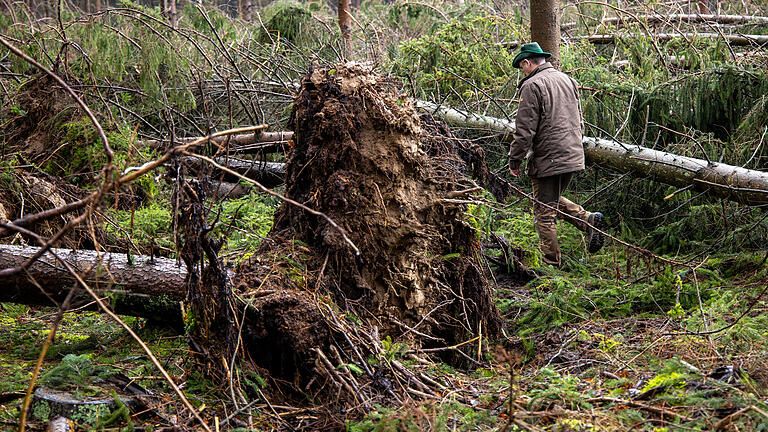 Den Stürmen der vergangenen Tagen sind im Steigerwald, sowohl im Staatsforst, als auch im Gemeinsamen Bürgerwald von Gerolzhofen und Dingolshausen, in erster Line Fichten zum Opfer gefallen.