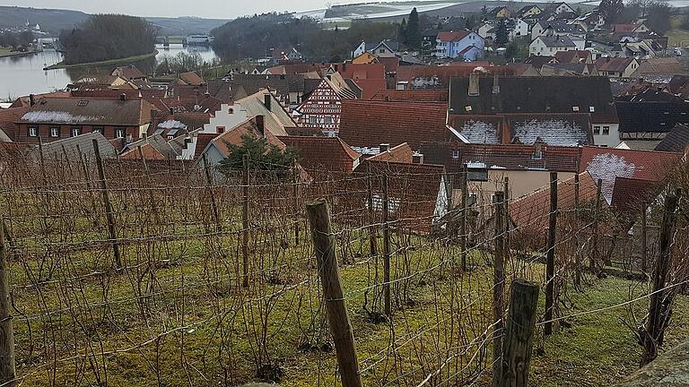 Wipfeld: Blick vom historischen Weinberg auf den Altort mit seinem historischen Grundriss aus dem 16. Jahrhundert.