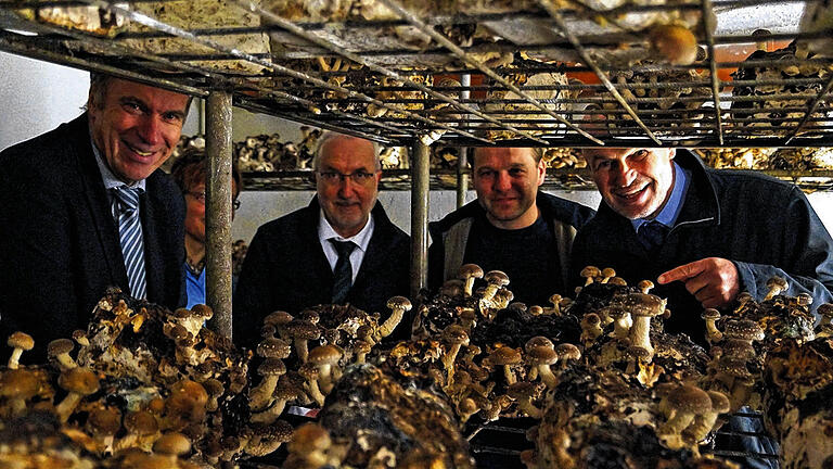 Im einstigen Krautkeller: Bei der Familie Wild wachsen nun Shii-Take-Pilze; (von links) Prof. Dr. Sebastian Peisl, Andreas Maier, Rainer Wild und Landrat Eberhard Nuß.