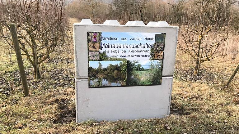 Im Mainvorland der Nordheimer Au, wo ein Sand- und Kiesabbaugebiet geplant ist, hat die Kitzinger Firma LZR ein 'Paradies aus zweiter Hand' auf einigen Betonblocks angekündigt. Im Mainvorland der Nordheimer Au, wo ein Sand- und Kiesabbaugebiet geplant ist, hat die Kitzinger Firma LZR ein 'Paradies aus zweiter Hand' auf einigen Betonblocks angekündigt.