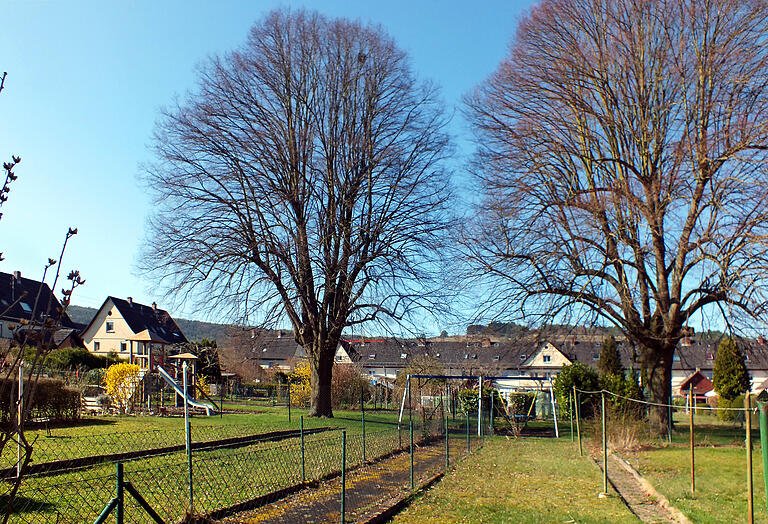 Idyllischer Aufenthaltsort für den Nachwuchs: Inmitten der Gartenanlagen befindet sich der eigene Spielplatz der seit nunmehr 100 Jahren bestehenden Gemeinnützigen Baugenossenschaft.