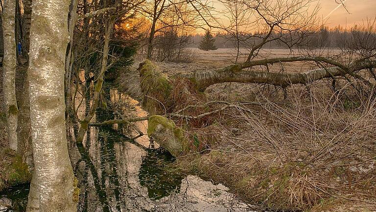 Jetzt sind die Rhöner gefragt. Wer etwas zum Thema möglicher Nationalpark in der Rhön wissen möchte, hat die Gelegenheit, dieser Zeitung seine Fragen und Anregungen zukommen zu lassen. In den kommenden Wochen soll das Thema aus den verschiedensten Blickwinkeln beleuchtet und Unklarheiten möglichst aufgeklärt werden.