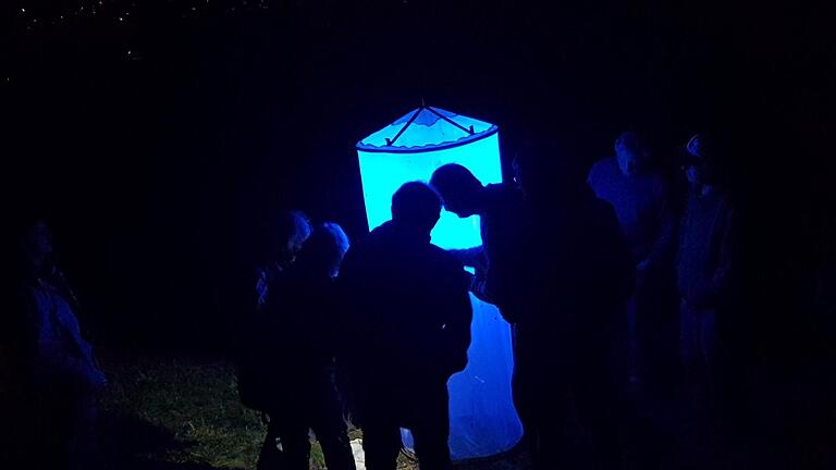 Mit einer Lichtfalle lockte Oskar Jungklaus Nachtfalter an. - Mit einer Lichtfalle lockte Oskar Jungklaus Nachtfalter an. Mit einer Lichtfalle lockte Oskar Jungklaus Nachtfalter an. - Mit einer Lichtfalle lockte Oskar Jungklaus Nachtfalter an.
