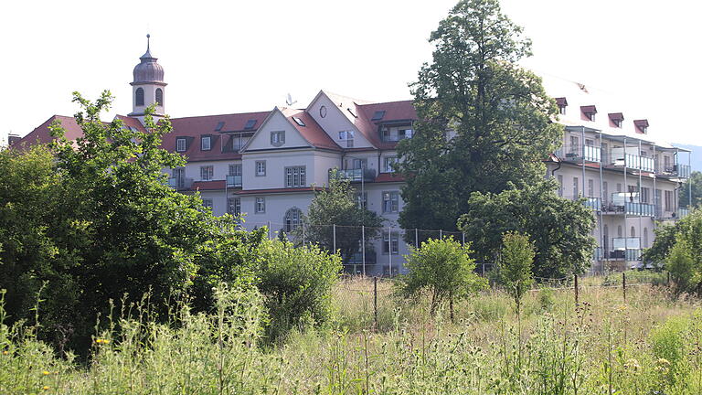 Rechter Hand, südlich des Aloysianums ist ein Pflegeheim geplant, westlich davon (links) Eigentumswohnungen.&nbsp;
