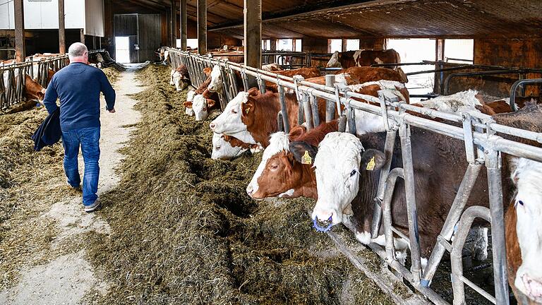 Premium-Bio beim Discounter? 'Am Anfang war Lidl Feindbild' - Der Wertheimer Ökolandwirt Ralf Bund, Mitglied der Erzeugergemeinschaft Bioland, der mehr als 7800 Landwirte, Gärtner, Imker und Winzer in Deutschland und Südtirol angeschlossen sind, war anfangs alles andere als begeistert von der Kooperation mit Lidl. Premium-Bio beim Discounter? 'Am Anfang war Lidl Feindbild' - Der Wertheimer Ökolandwirt Ralf Bund, Mitglied der Erzeugergemeinschaft Bioland, der mehr als 7800 Landwirte, Gärtner, Imker und Winzer in Deutschland und Südtirol angeschlossen sind, war anfangs alles andere als begeistert von der Kooperation mit Lidl.