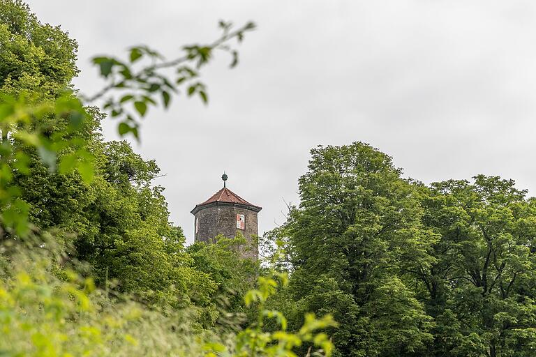 Während der Tour hat man diesen Blick auf eine Burgturm-Ruine. Während der Tour hat man diesen Blick auf eine Burgturm-Ruine. 