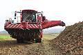 Seit 15. September herrscht Hochbetrieb auf den Feldern der Zuckerrübenbauern in der Region Gerolzhofen. Zunächst werden die Bio-Rüben gerodet, wie jene von Lukas Seuferling aus Zeilitzheim (im Bild) und ins Südzucker-Werk nach Rain am Lech geliefert.