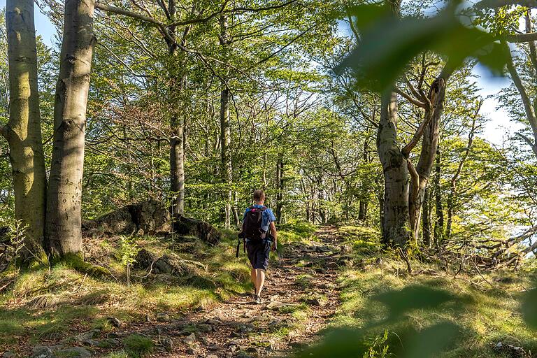 Unterwegs auf der 10,7 Kilometer langen Extratour Milseburg in der Rhön: Über Stock und Stein geht es hoch zum Stellberg. Unterwegs auf der 10,7 Kilometer langen Extratour Milseburg in der Rhön: Über Stock und Stein geht es hoch zum Stellberg.